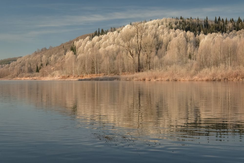 Поздняя осень у реки
