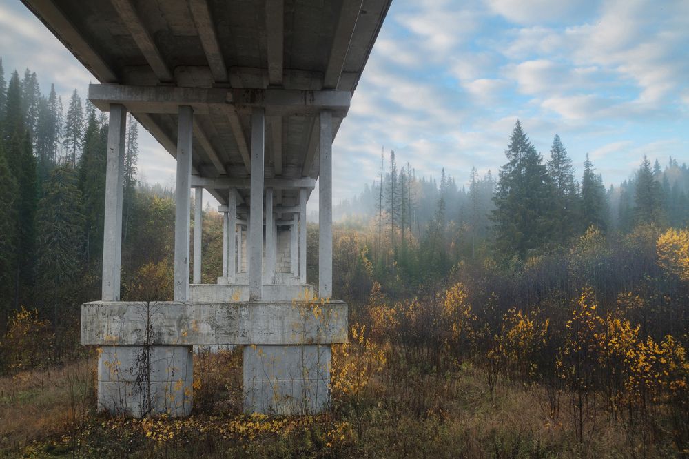Туманное осеннее утро
