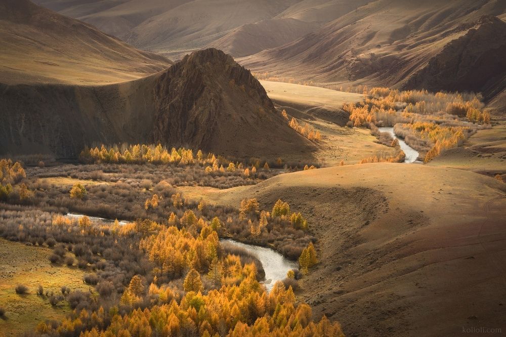 Алтай, урочище Кокоря. Октябрь.