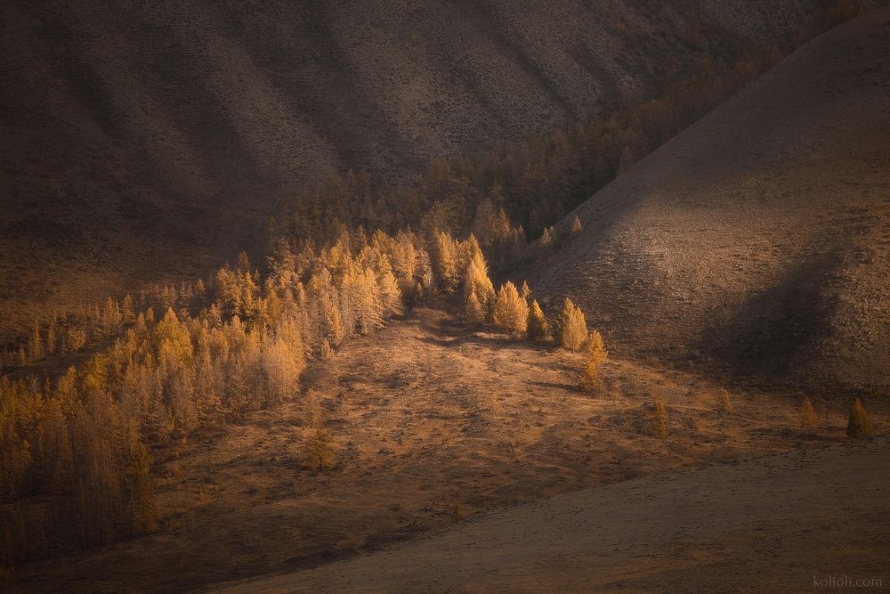 Алтай, Курайская степь. Октябрь.