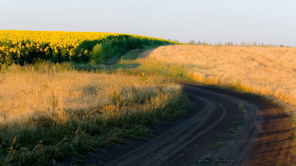 Простор для солнца