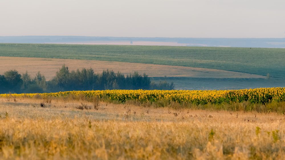 Простор для солнца