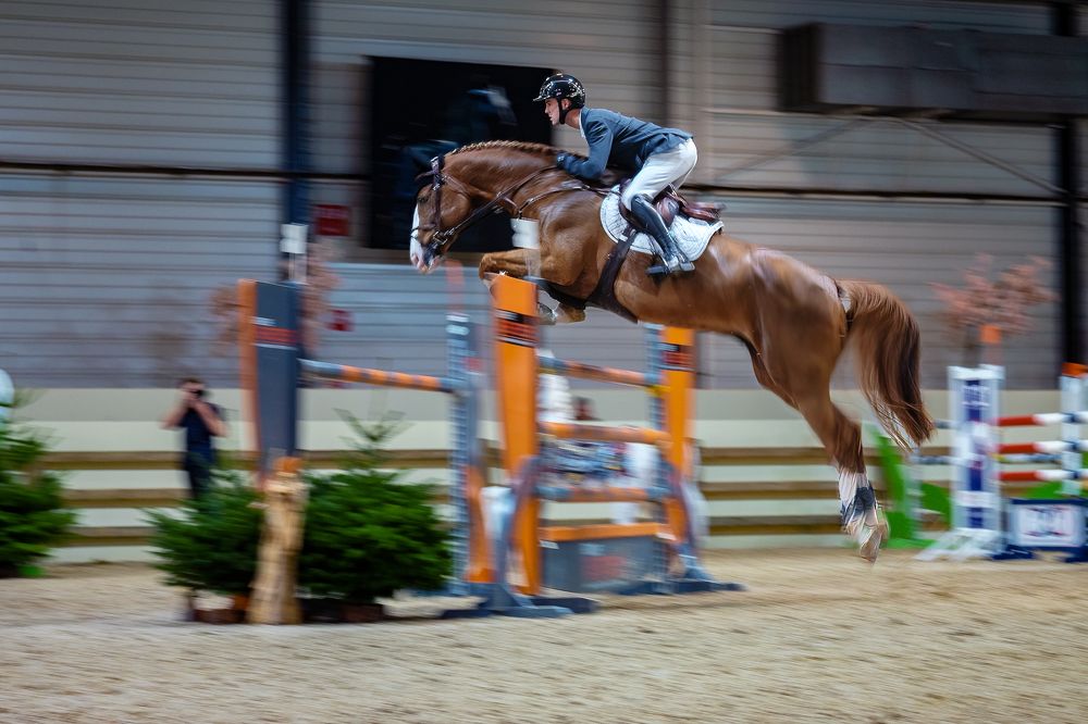 Equi Seine