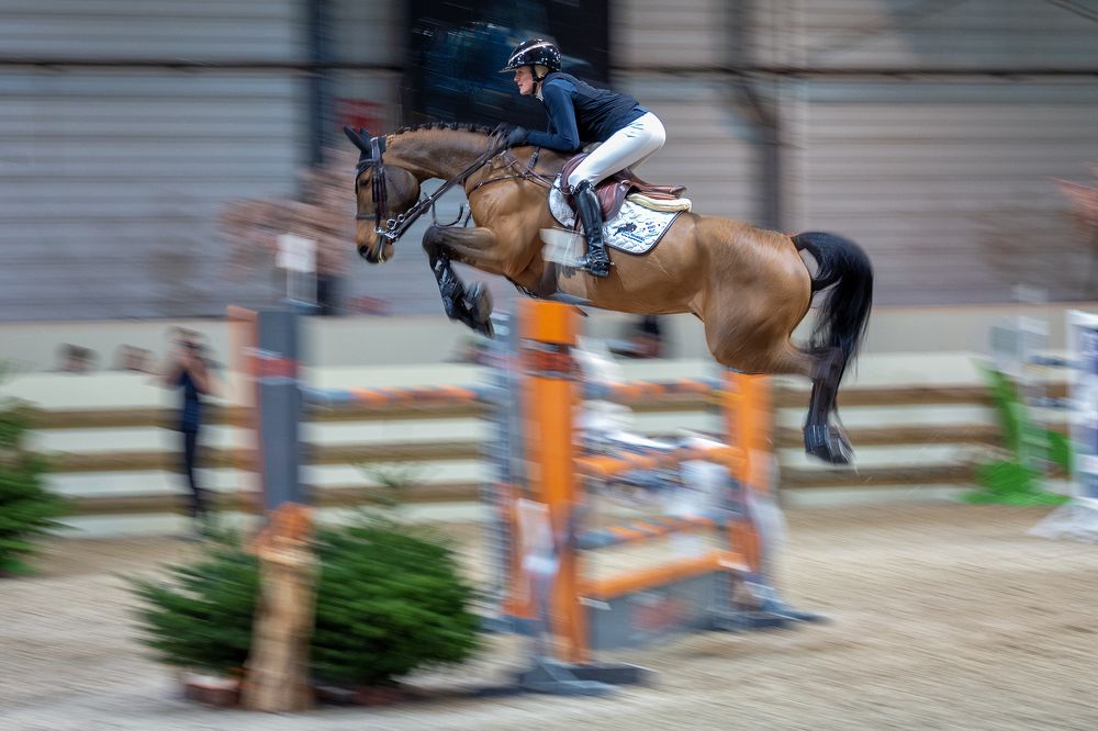 Equi Seine