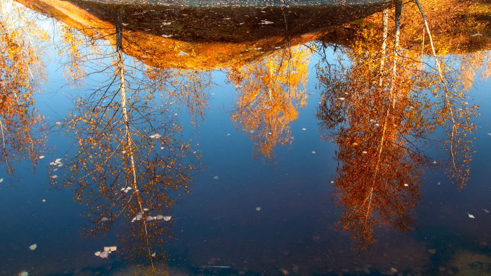 Photo 2287103