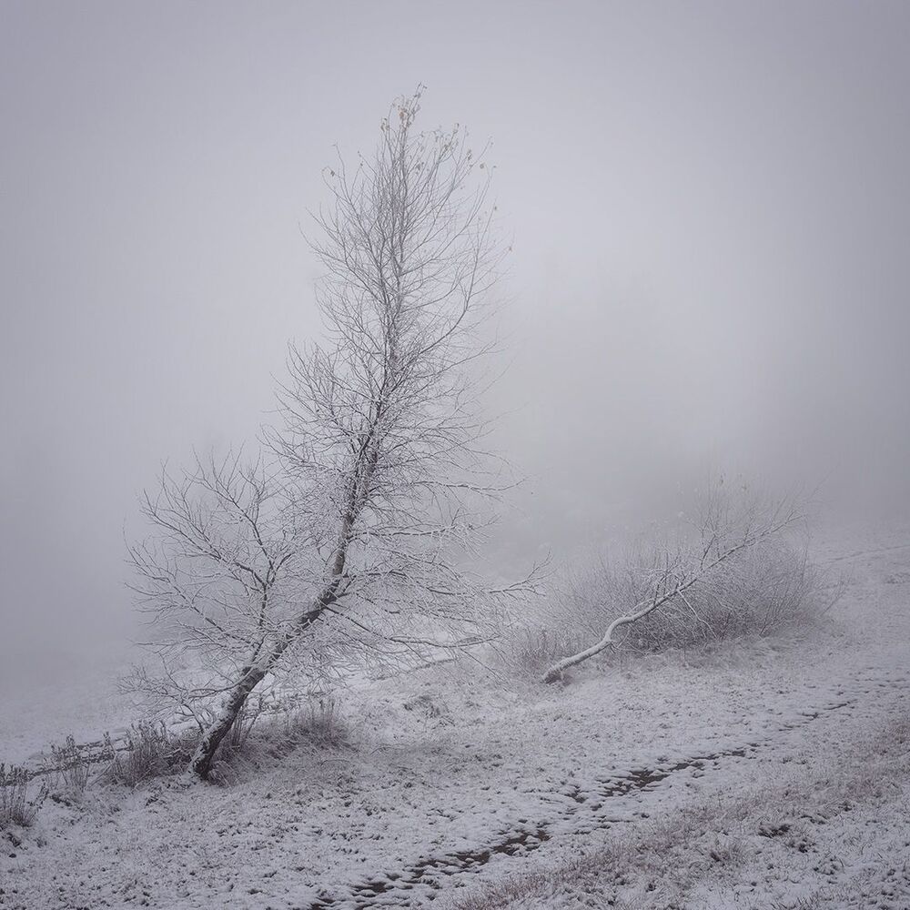 Photo 2287935