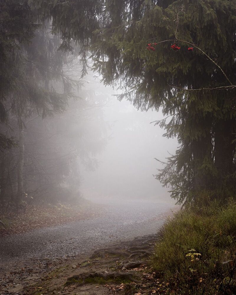 Photo 2287937