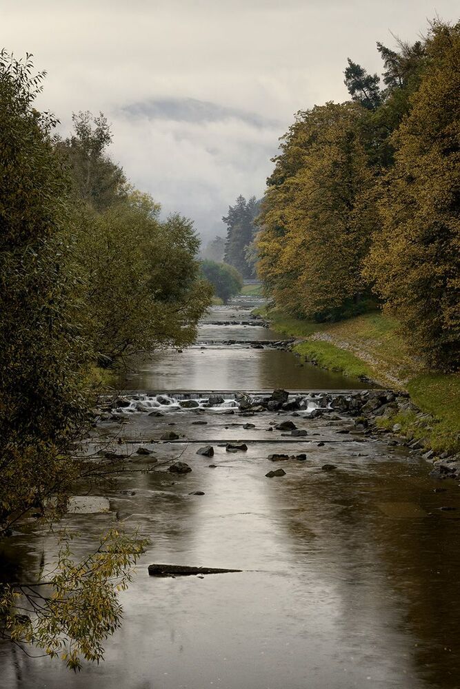 Photo 2287942
