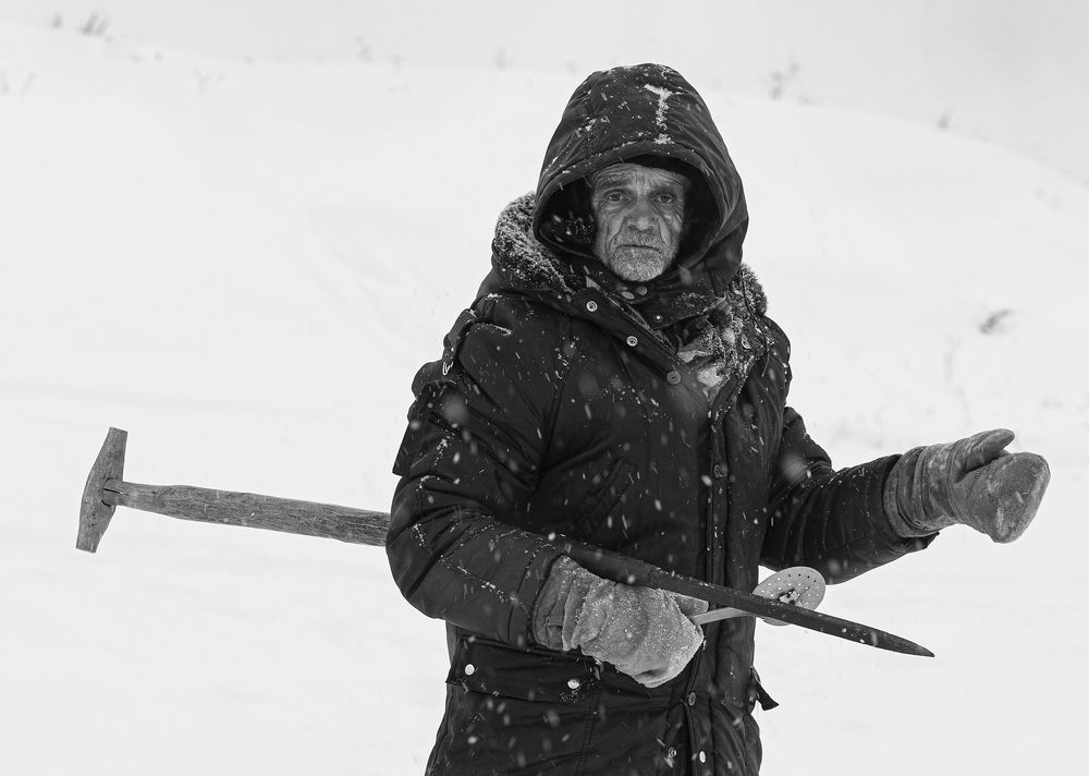Photo 2288987