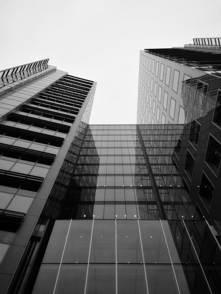 Look up