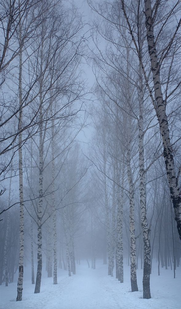 УТРО В ВИННОВКЕ
