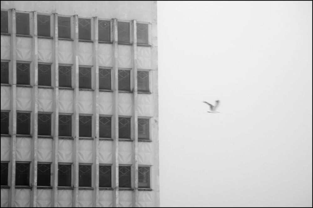 про/за три