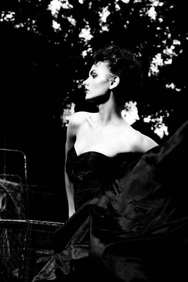 Photo 229618