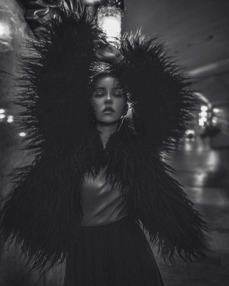 BLACK RAVEN