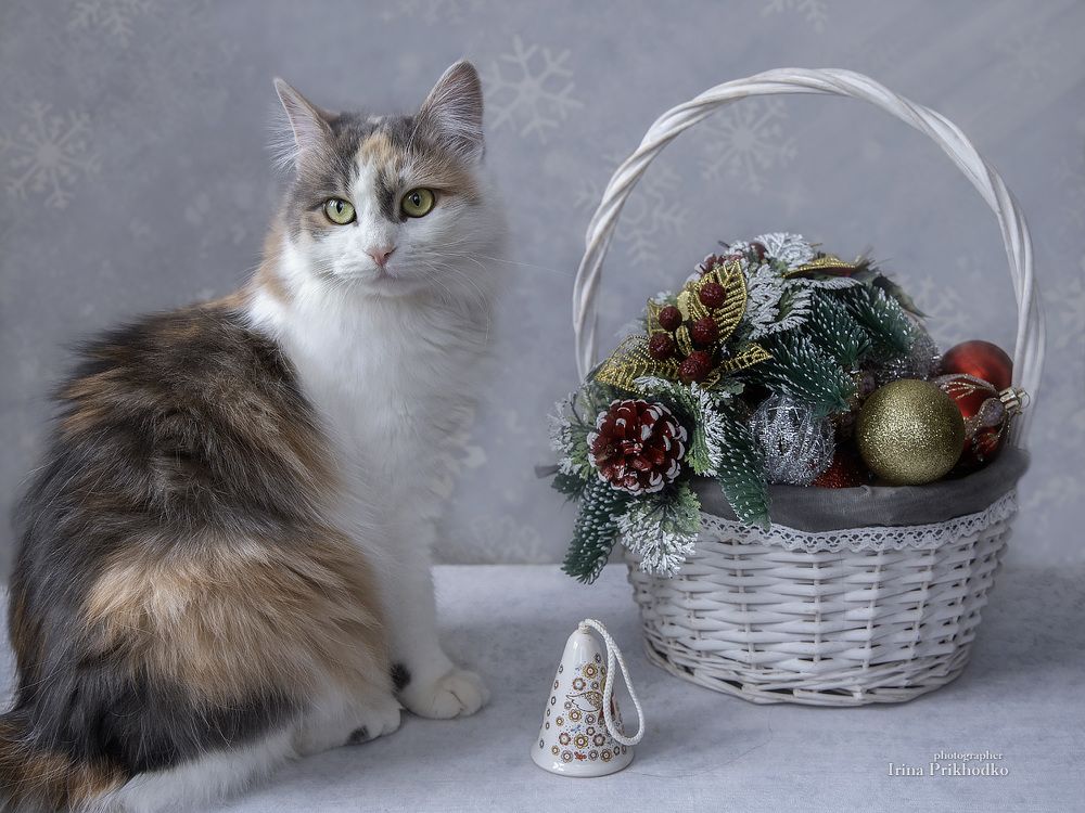 Скоро Новый год!