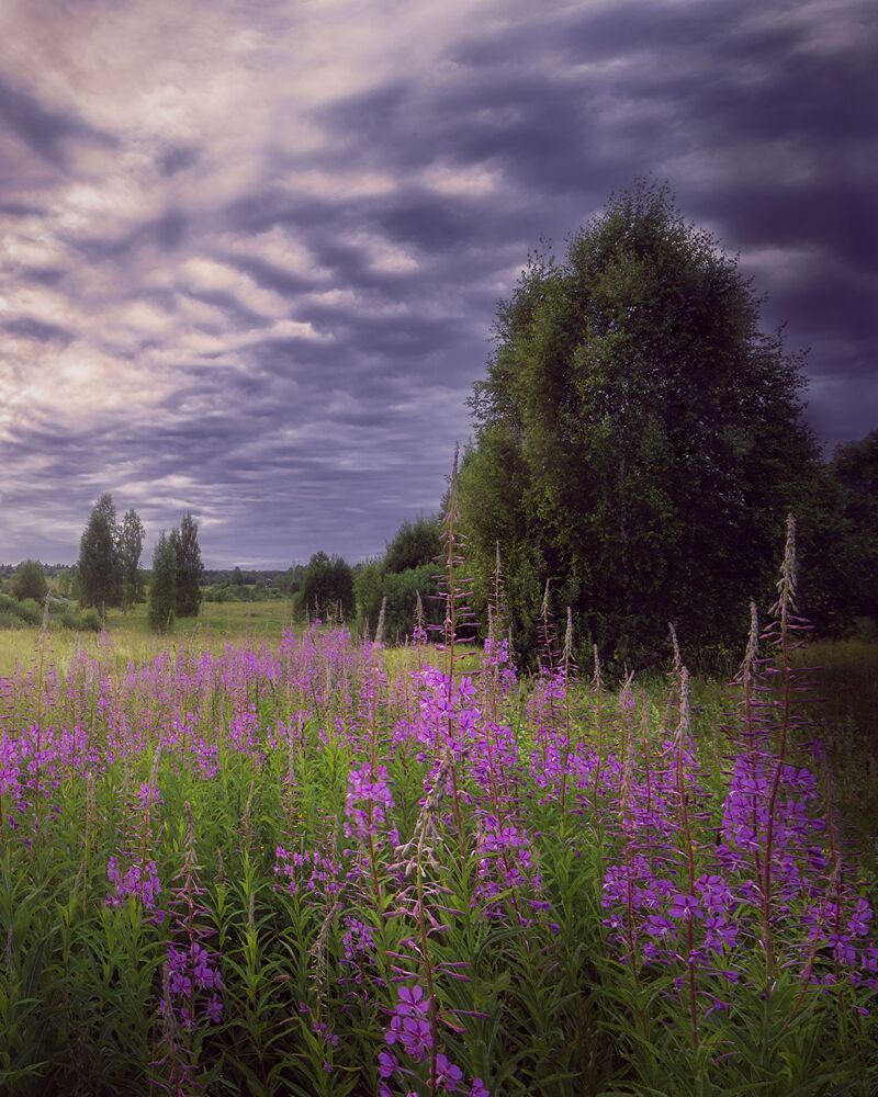 Photo 2293071