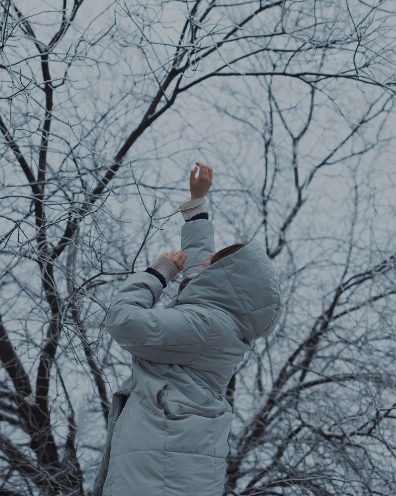 Photo 2293240