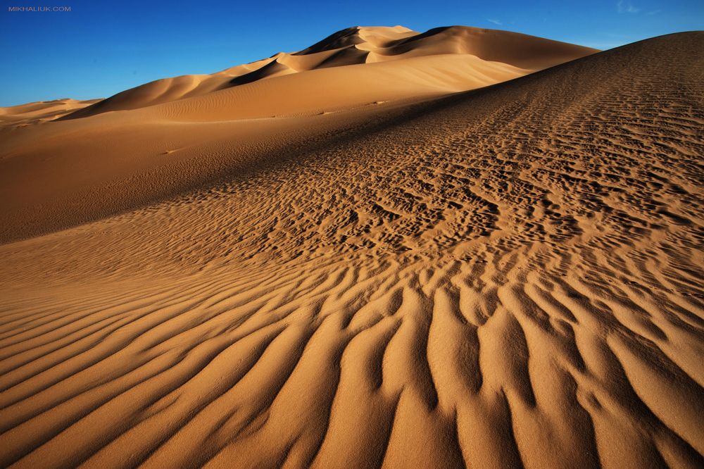 Welcome to the Desert *