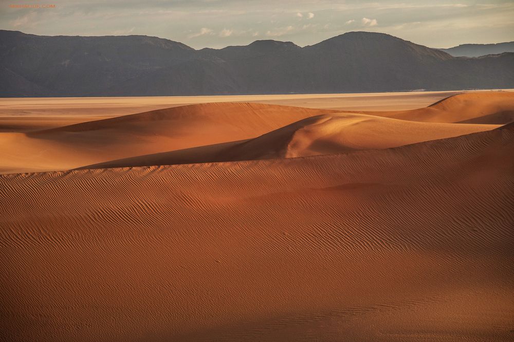 Welcome to the Desert *