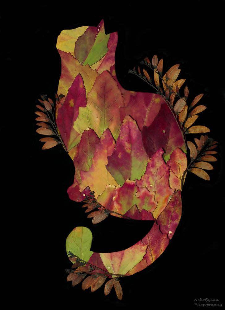 Botanical cat