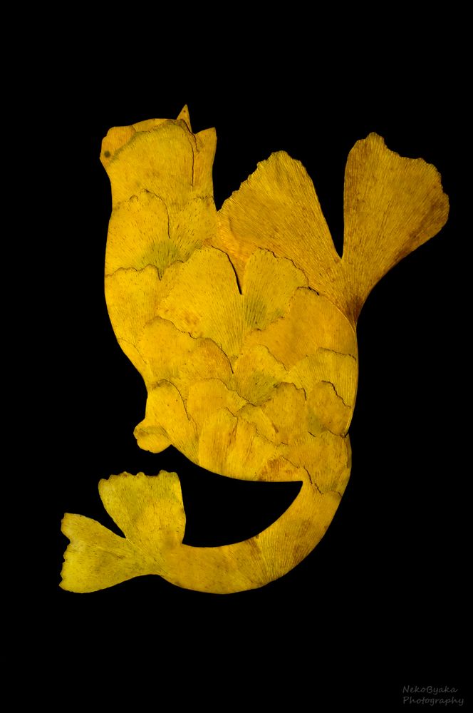 Botanical cat