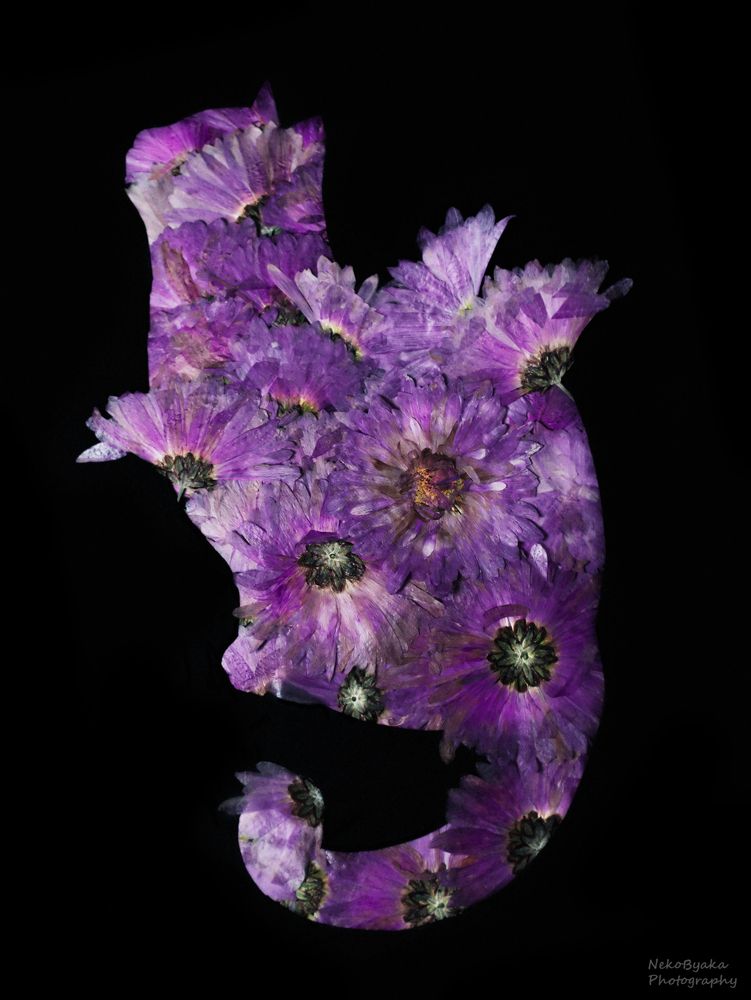 Botanical cat