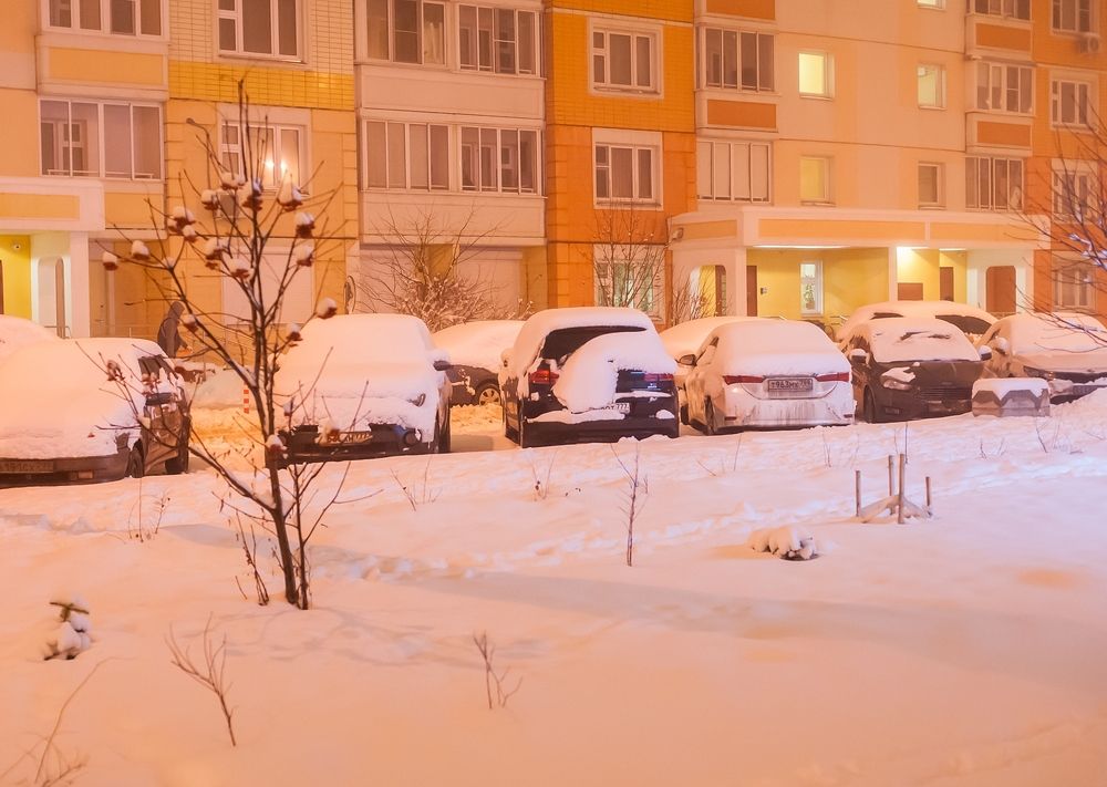 Снежное утро