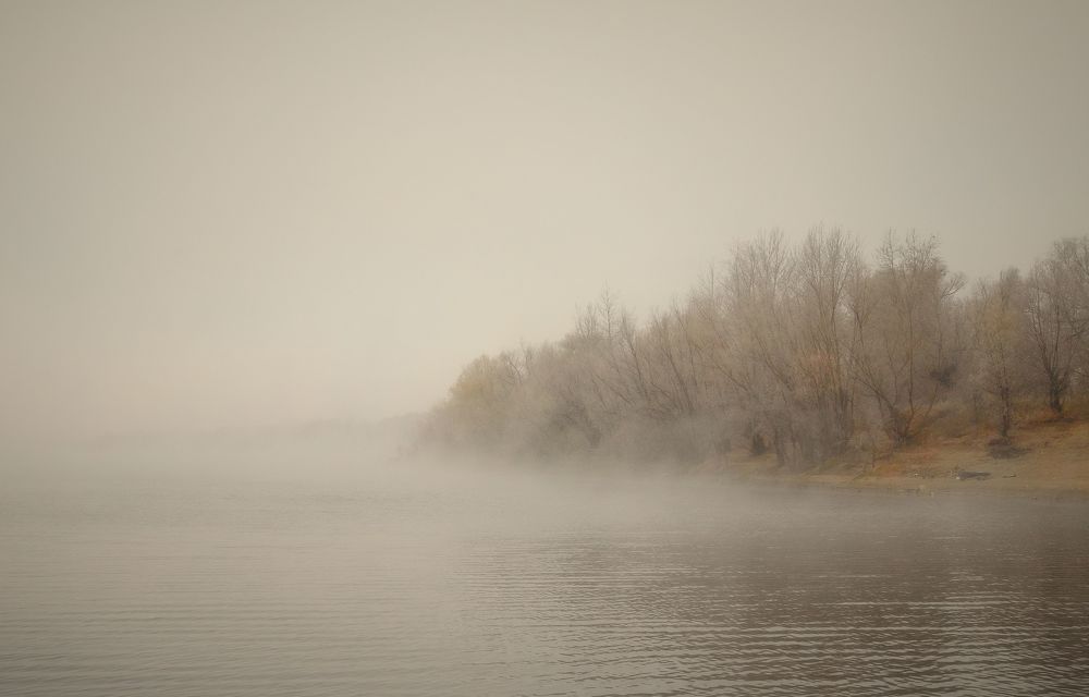 Photo 2295918