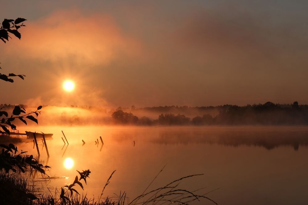 Photo 2296296