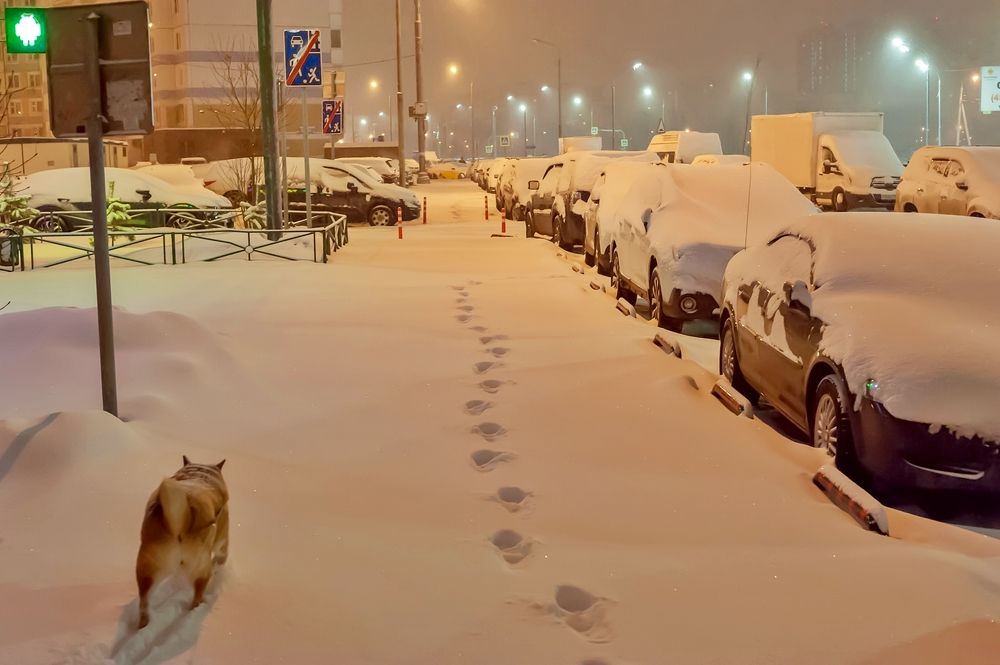 Опять пришла зима