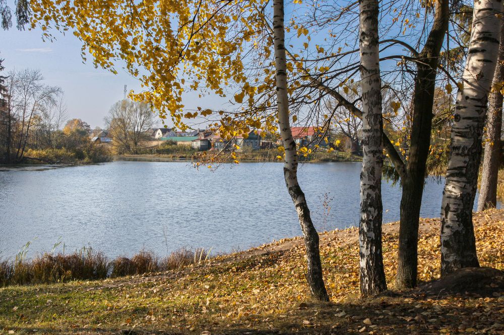 Осень в Захарово
