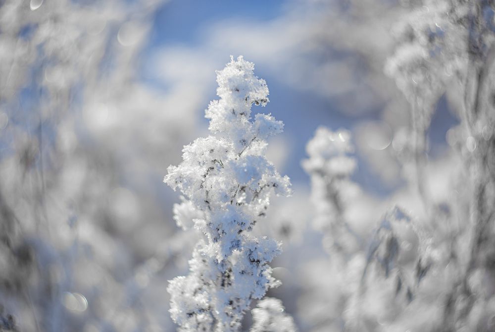 Photo 2299050
