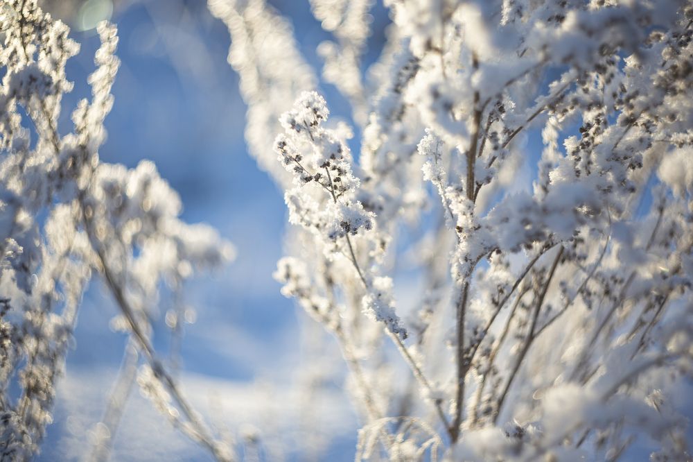 Photo 2299051