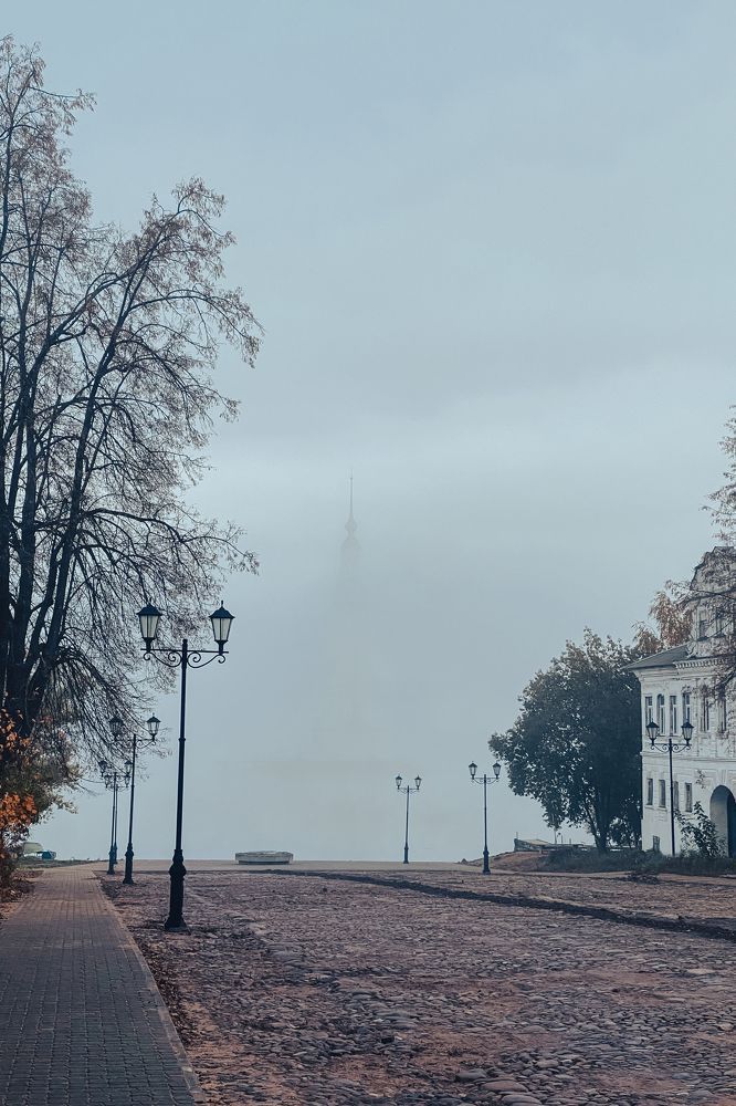 Фотографии