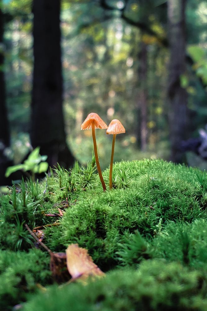 Фотографии