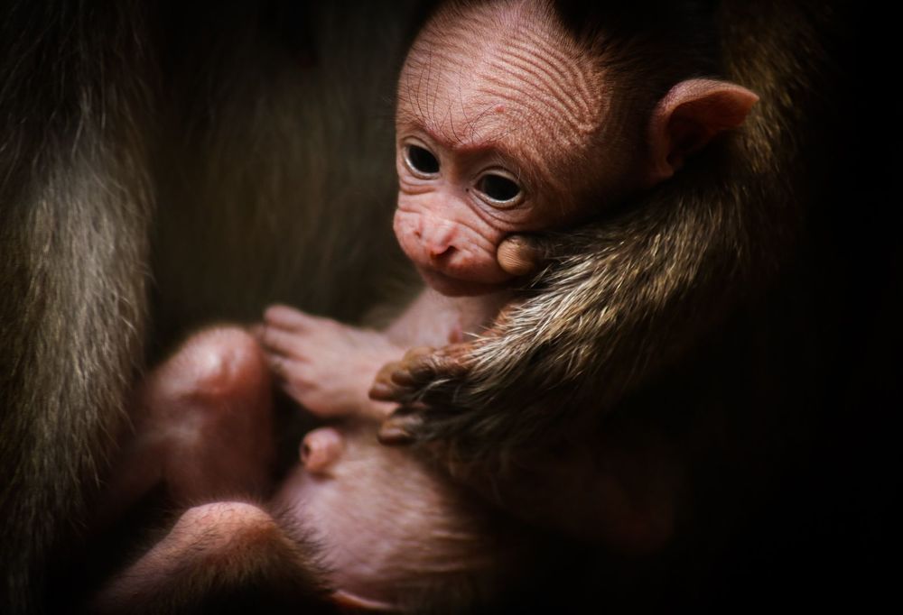 Photo 2299082