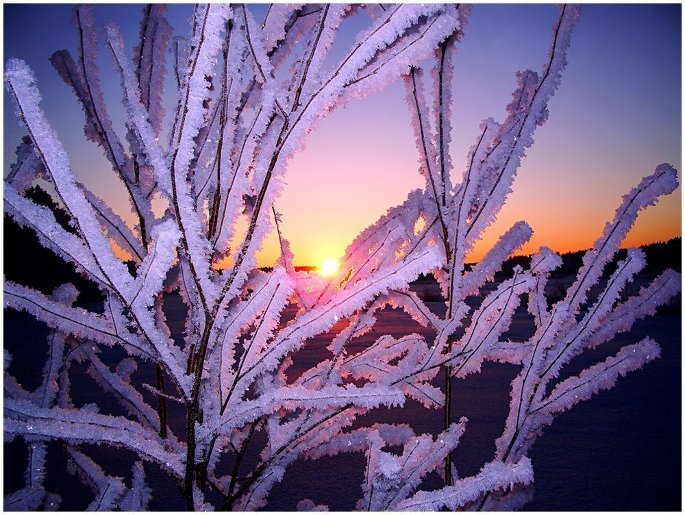 Ну вот и получился такой сказочный НОАRFROST