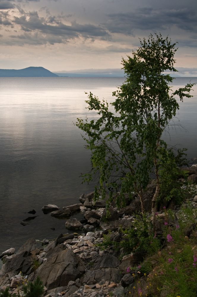 Байкальские зариовки