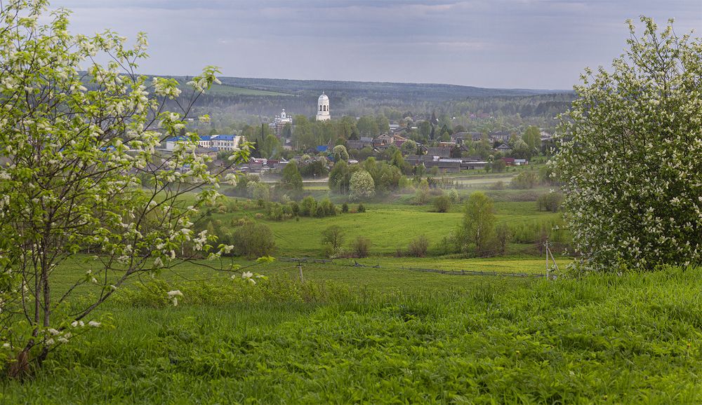 Photo 2300516
