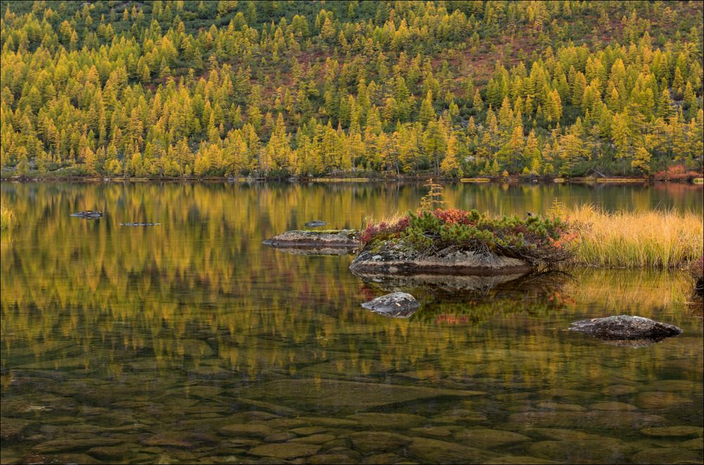 Камень-клумба в воде