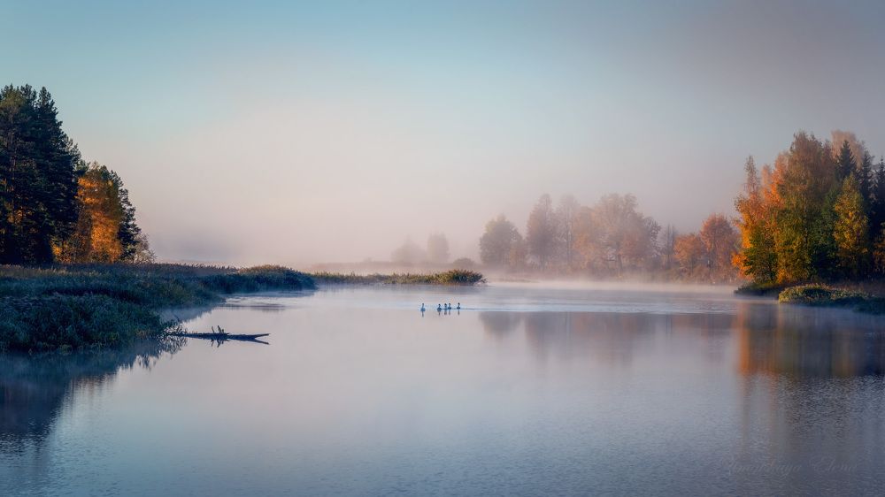 ***в утреннем тумане