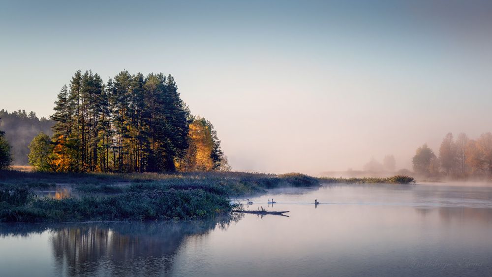 ***в утреннем тумане