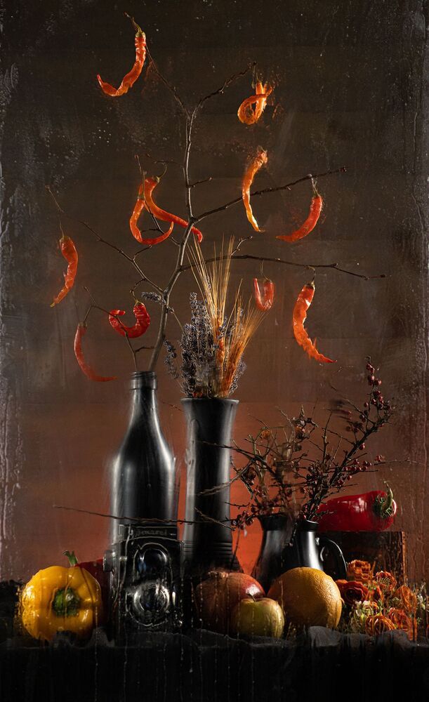 Portfolio Abdullah Ibradzic