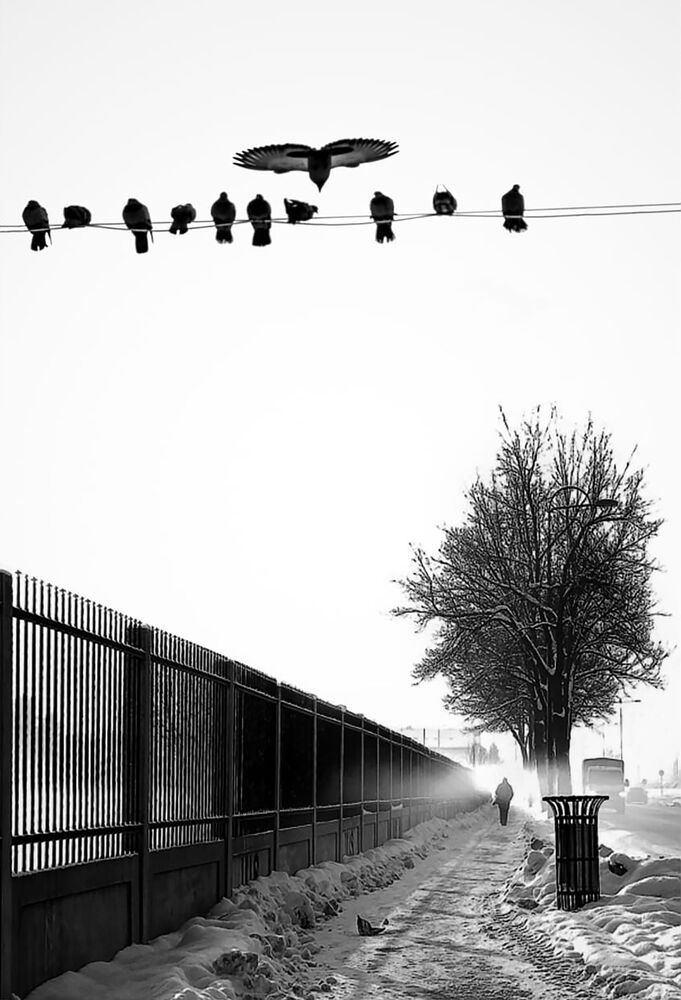 Portfolio Abdullah Ibradzic
