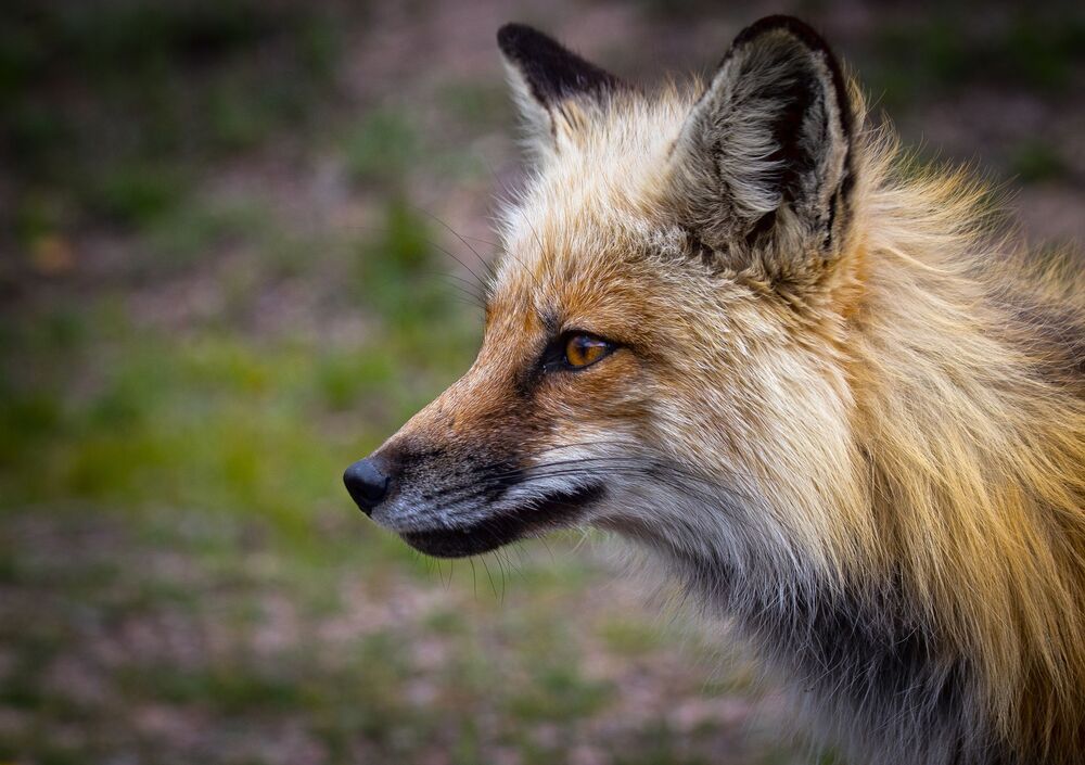 Photo 2303633
