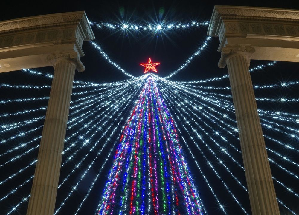 Наша Новогодняя красавица.