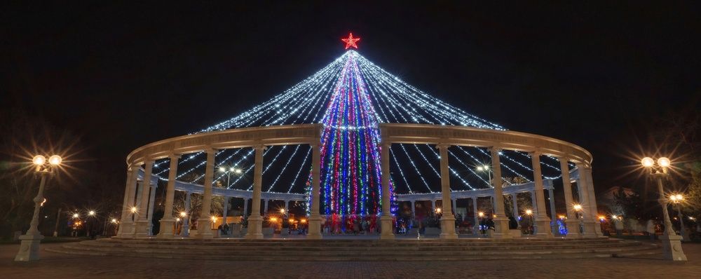 Наша Новогодняя красавица.