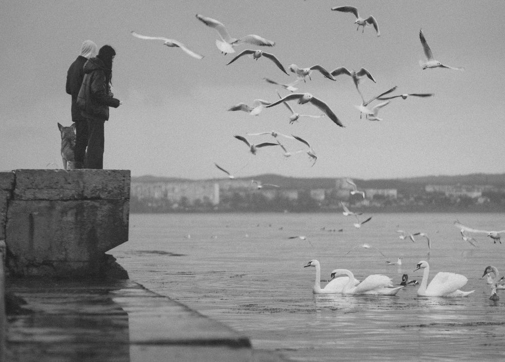 В дождливый час у грани моря.