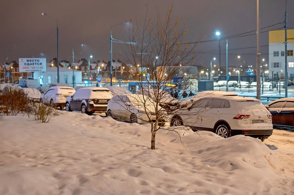 После ночного снегопада