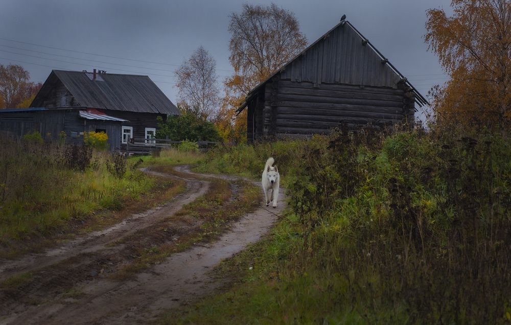 Осень в селе Пежма